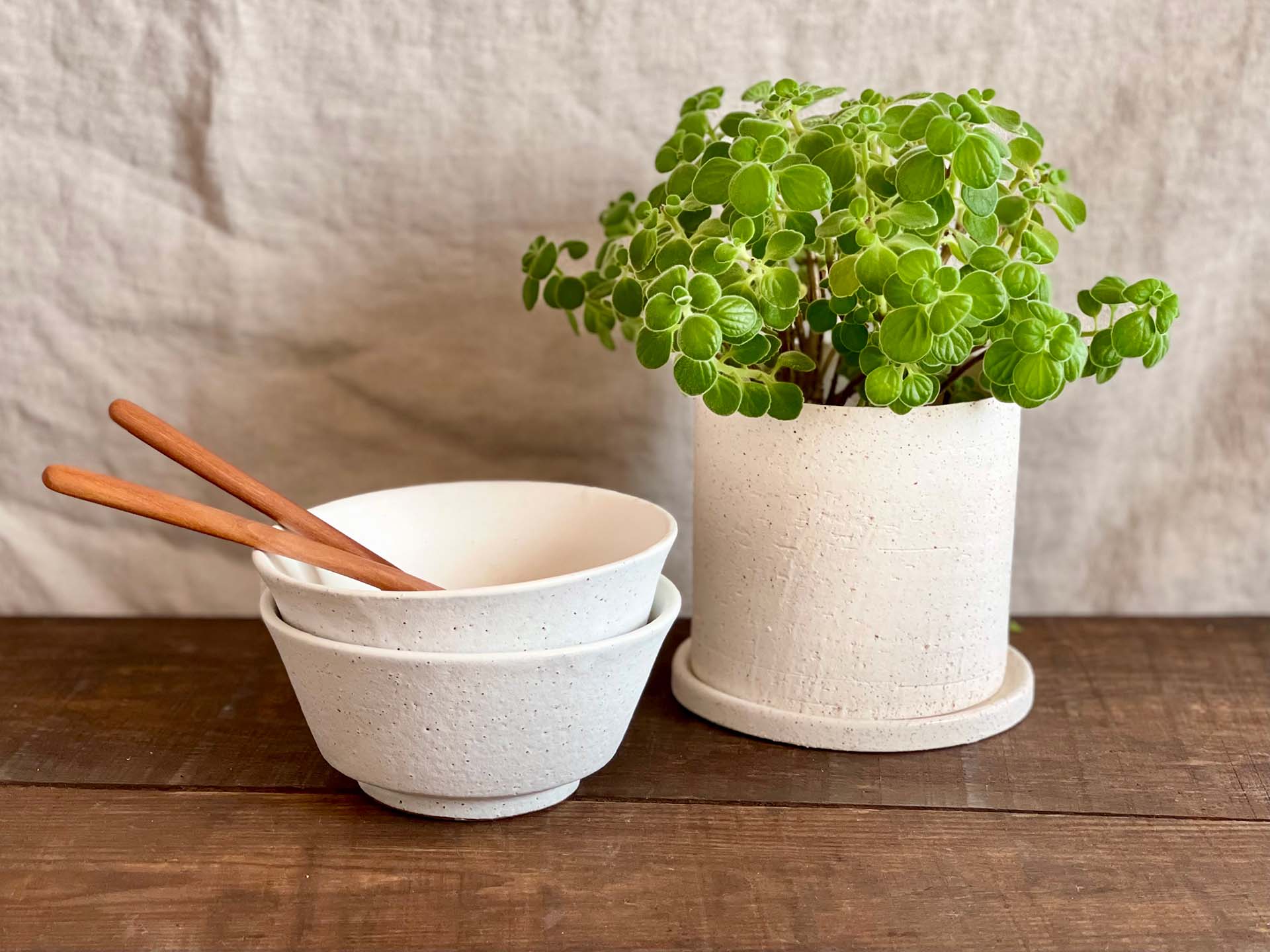 器と小さい観葉植物