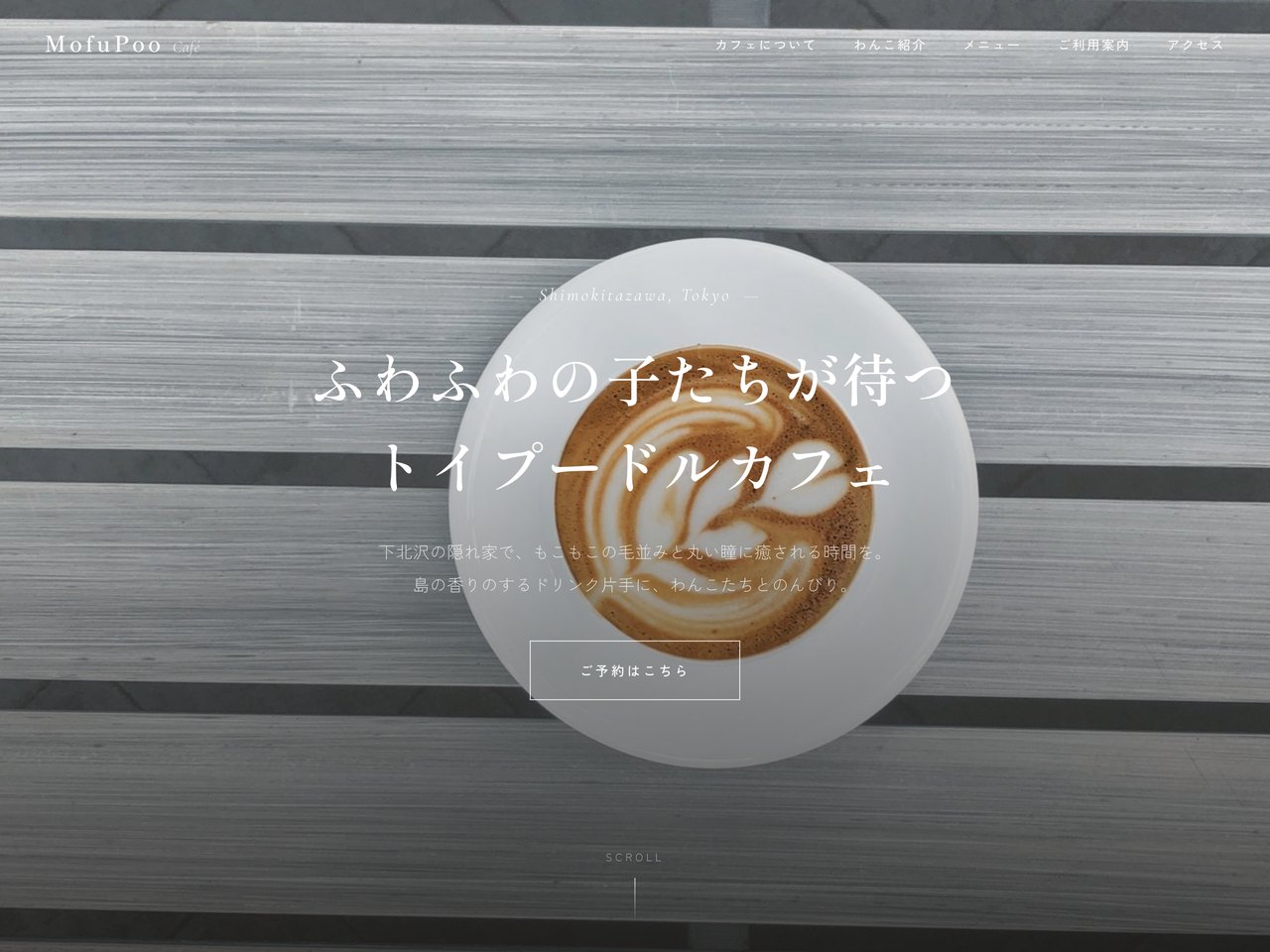 MofuPoo Café｜トイプードルカフェのコンセプトサイト（自主制作）